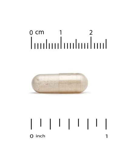 product name